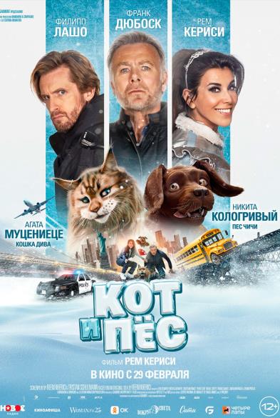 Кот и пёс