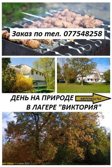 День на природе в лагере "Виктория"